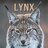 lynxxx